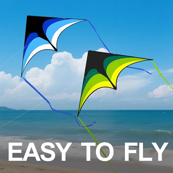 Large Single Line Beach Kite for Adults - Image 2