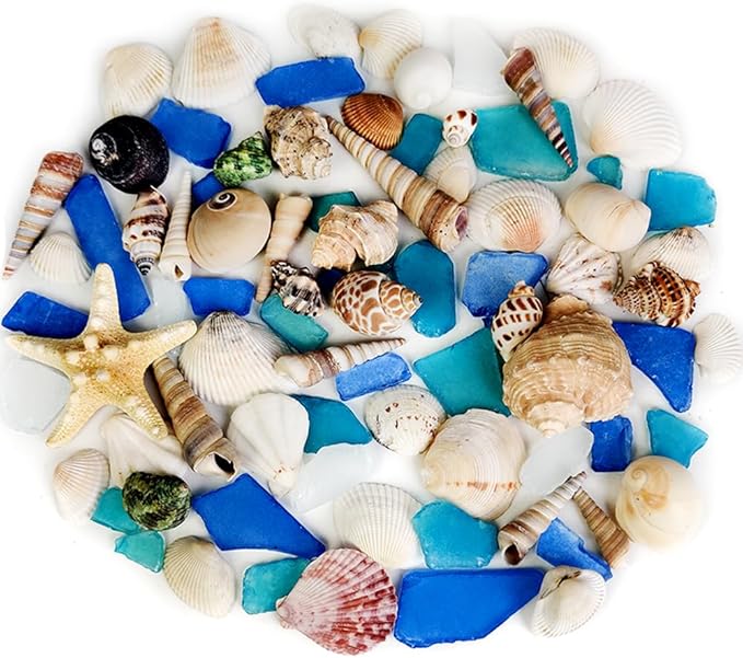 Natural Mixed Seashells Conch Starfish Sea Glass 1-2.8 Inch, 16.5 OZ | Bulk by HappyFiller