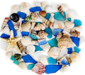 Natural Mixed Seashells Conch Starfish Sea Glass 1-2.8 Inch, 16.5 OZ | Bulk by HappyFiller