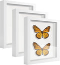 5x7 Shadow Box Frame Display Case by TOUYINGER
