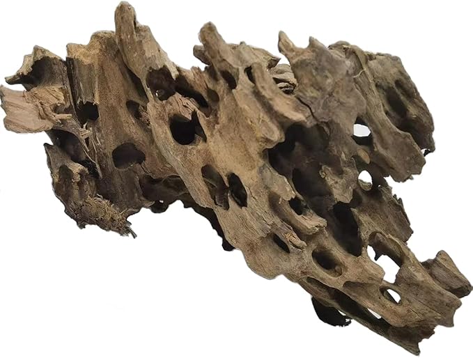 PINVNBY Natural Large Driftwood by PINVNBY