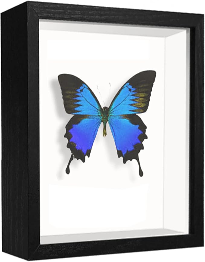 4x6 Small Shadow Box Frame Display Case, Display Case Box - Image 8