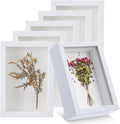 6 Pack 4 x 6 Inches Shadow Box Frame, Small Wood Frame Memory Display Cases by Unknown