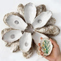 30Pcs 4"-5" Concave Oyster Shells by Unknown