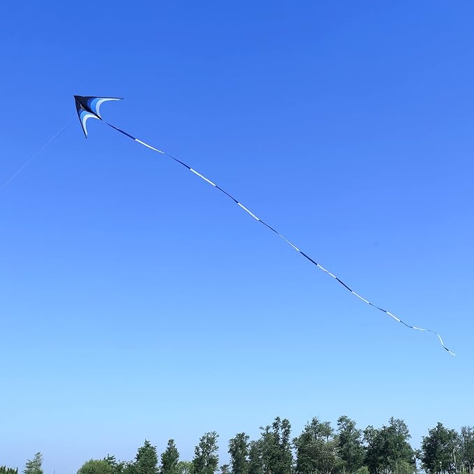 Large Single Line Beach Kite for Adults - Image 5