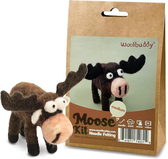Woolbuddy Needle Felting Kit for Beginner Adults, Starter Set by Woolbuddy