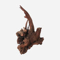 LYPHARD AQUARIUMS Natural Driftwood by LYPHARDAQUARIUMS