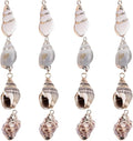 SUNNYCLUE 1 Box 16Pcs Oval Ocean Beach Spiral Seashells Craft Charms Connectors by SUNNYCLUE