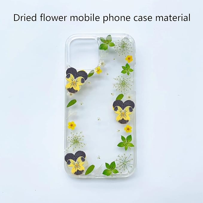 YUNZHI Natural Pansy Dried Pressed Flowers - Image 6