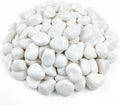 FANTIAN 10 lbs White River Rocks by FANTIAN-GardeningMakesLifeBetter