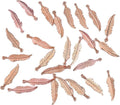 ALIMITOPIA 100pcs Alloy Feather Charms Pendants Easter Angel Wing Feather by ALIMITOPIA