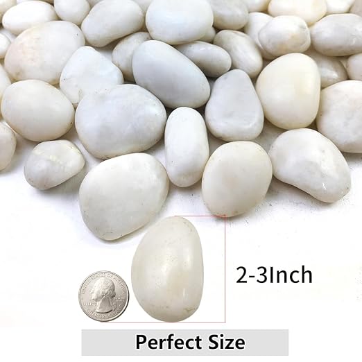 YISZM 5lbs White River Rocks, 2-3 Inch Natural Pebbles - Image 2