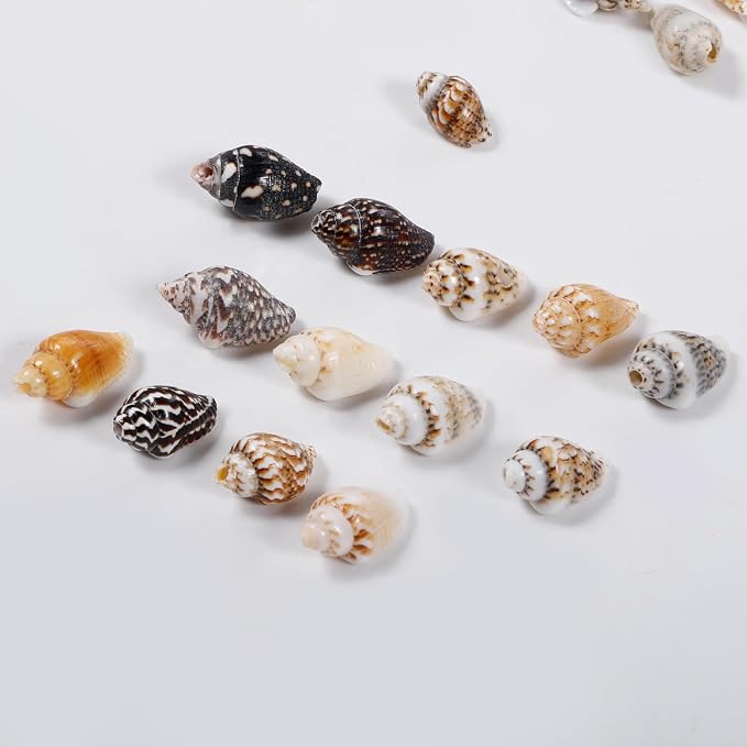 500pcs Natural Tiny Small Seashells - Image 4