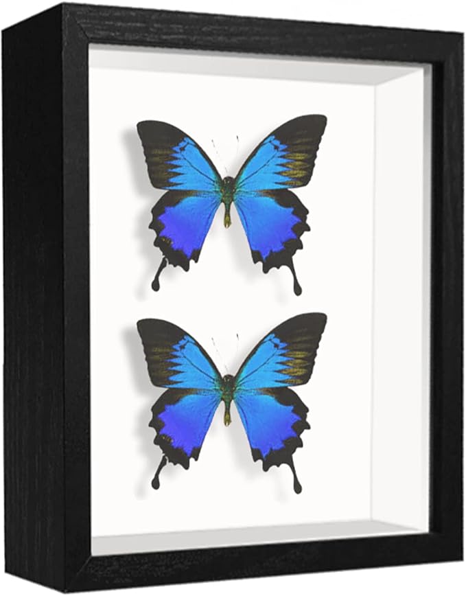 5x7 Small Shadow Box Frame Display Case, Display Case Box - Image 7