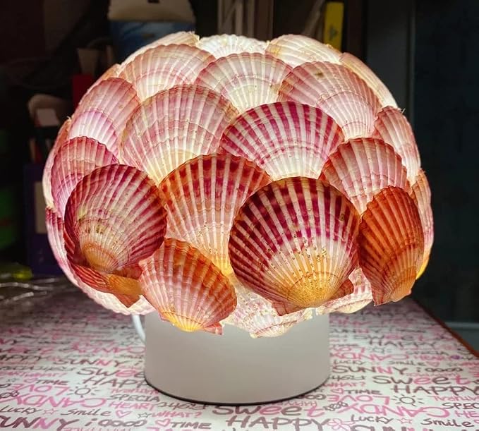 Colorful 50+ Pcs Scallop Shell Natural Mixed Color Seashells - Image 3
