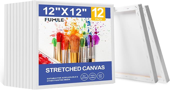 FUMILE Stretched Canvas for Painting 12x12, 12 Pack Square Canvases for by FUMILE