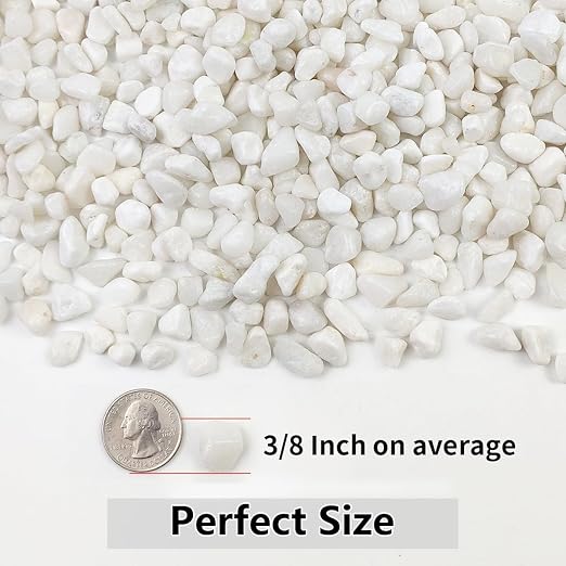 YISZM 2LB Succulent and Cactus Gravel Pebbles, 3/8 Inch Natural Decorative - Image 4