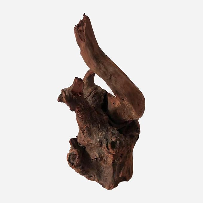 LYPHARD AQUARIUMS Natural Driftwood - Image 3