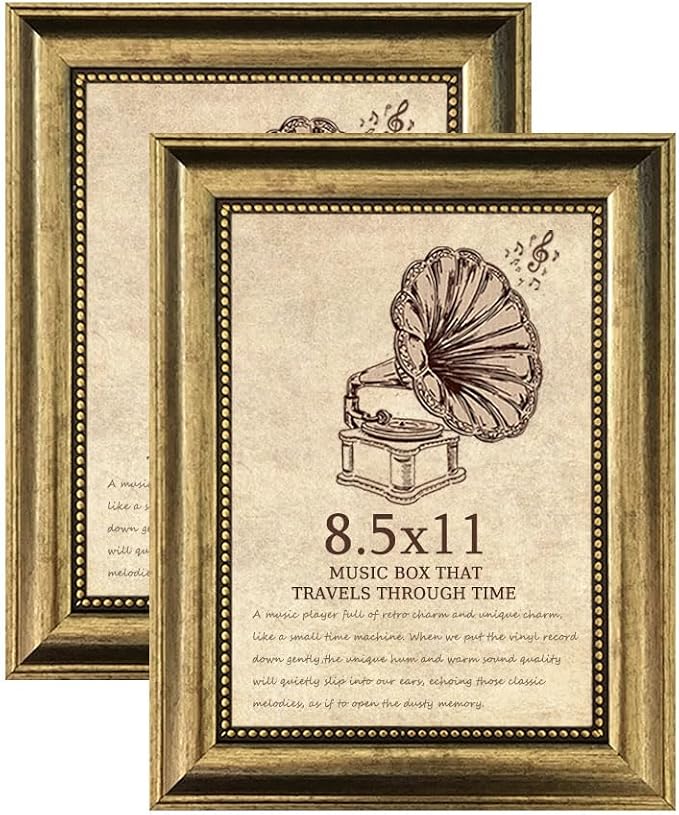 8.5x11 Picture Frame 2 Pack by TKYGU
