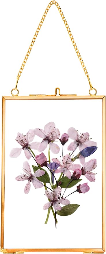REDHUGO Hanging Pressed Flower Frames, Double Glass Floating Picture Frame by REDHUGO