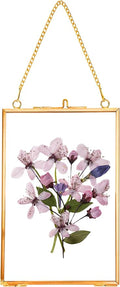 REDHUGO Hanging Pressed Flower Frames, Double Glass Floating Picture Frame by REDHUGO
