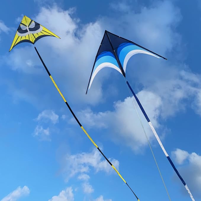 Large Single Line Beach Kite for Adults - Image 2