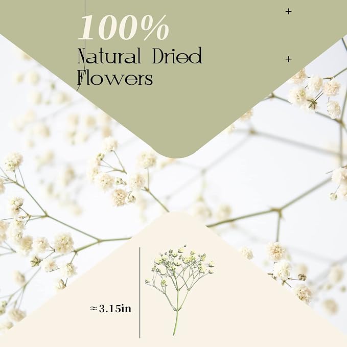Dried Babys Breath White, Natural Pressed Flowers - Image 3