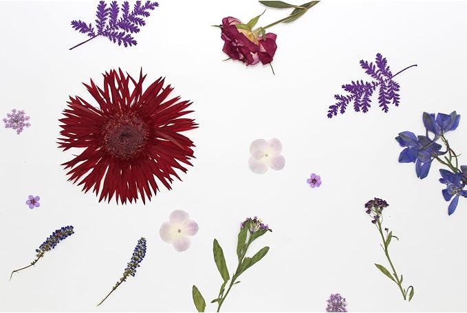 17 Types 30PCS Real Dried Pressed Flowers Bulk Dried Flower - Image 6