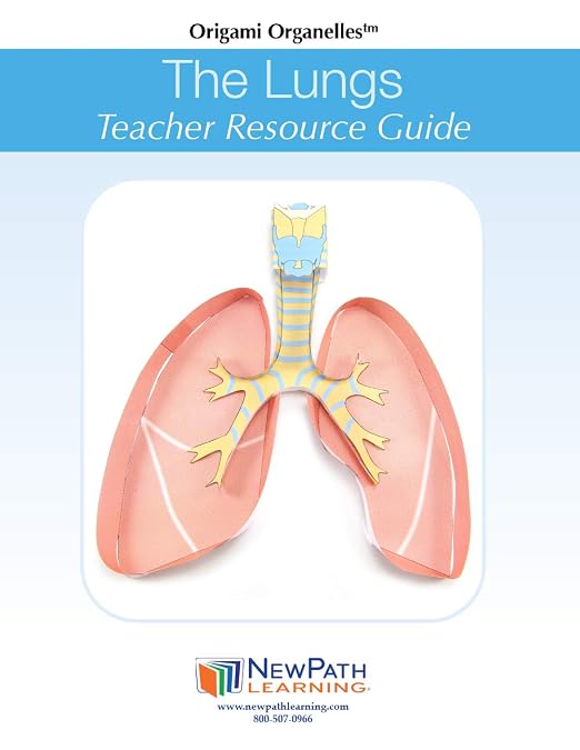 NewPath Learning Lungs 3-D Paper Model Making Kit, Set/5 Full-Color, Paper - Image 2
