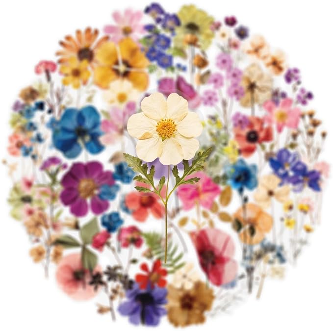 50PCS Transparent Flora Scrapbook Stickers, Vintage Aesthetic Flowers Sticker - Image 3
