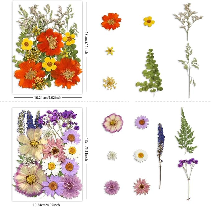 Dried Pressed Flowers - Image 2