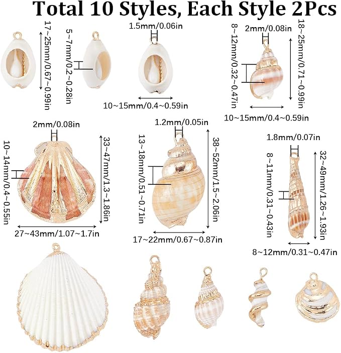 SUNNYCLUE 1 Box 20Pcs 10 Styles Sea Shell Charms Bulk Seashell Charms Natural - Image 2