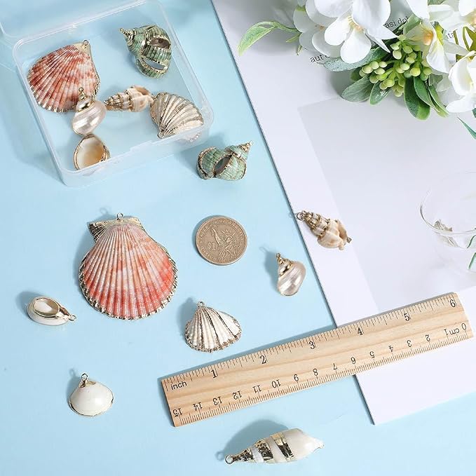 SUNNYCLUE 1 Box 16Pcs 8 Styles Natural Shell Charms Bulk Seashell Charm Summer - Image 3