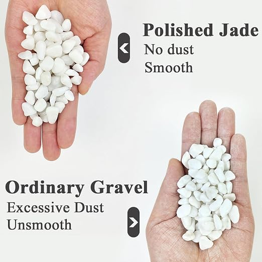 YISZM 2LB Succulent and Cactus Gravel Pebbles, 3/8 Inch Natural Decorative - Image 2