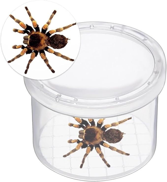 12 Pcs Bug Viewer Critter, Magnifier Bug Catcher cage, Plastic Insect - Image 3