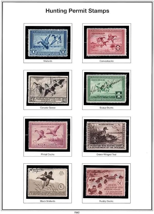 Strip Style Black Stamp Mounts Size 57 - Image 3