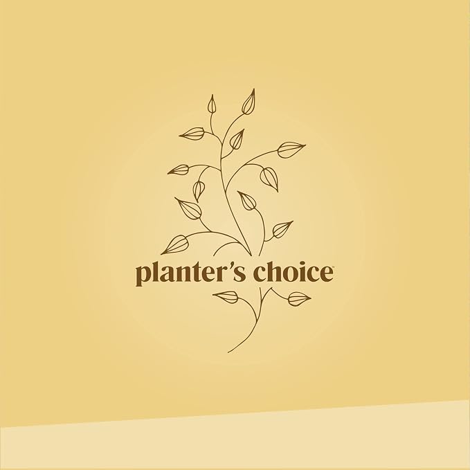 Planter's Choice Bonsai Tree Kit - Image 9