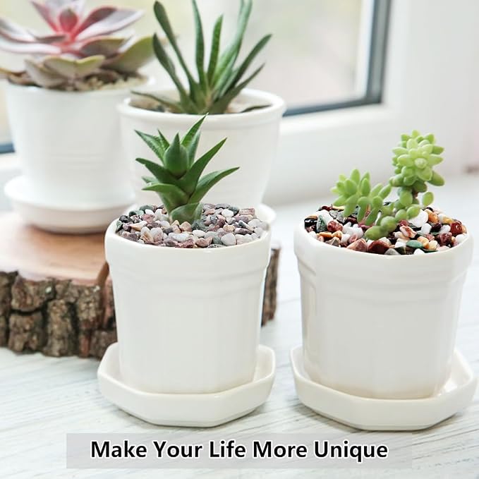 YISZM 5LB Succulent and Cactus Gravel Pebbles, 1/5 Inch Natural Decorative - Image 5