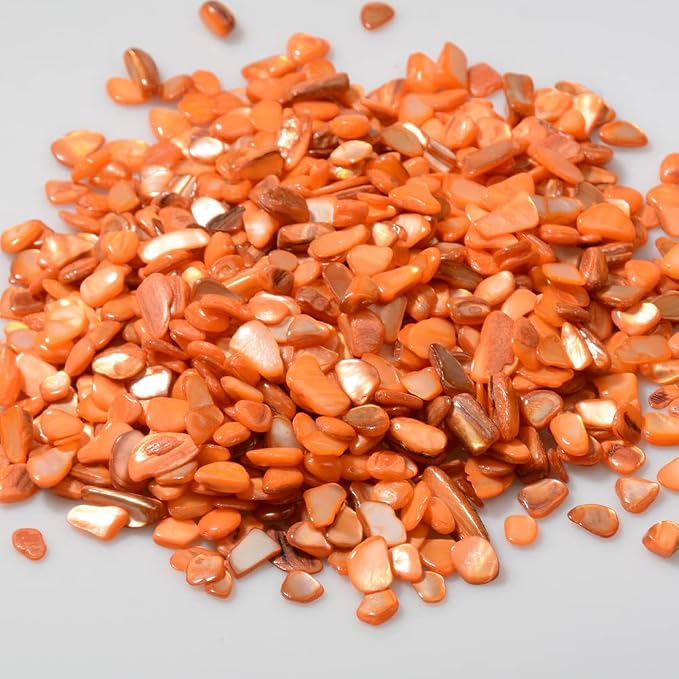 QICQDRAM Crushed Shells for Crafts About 1LB Small Natural Crushed Shells Bulk - Image 2