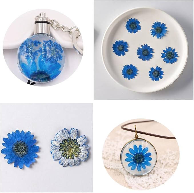 Natural Dried Daisy Flower, Vacuum Packaging, Pressed Flower - Image 3