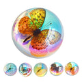 Real Butterfly Specimens, Resin Insect Specimens, Educational Bugs Specimen Set by Unknown