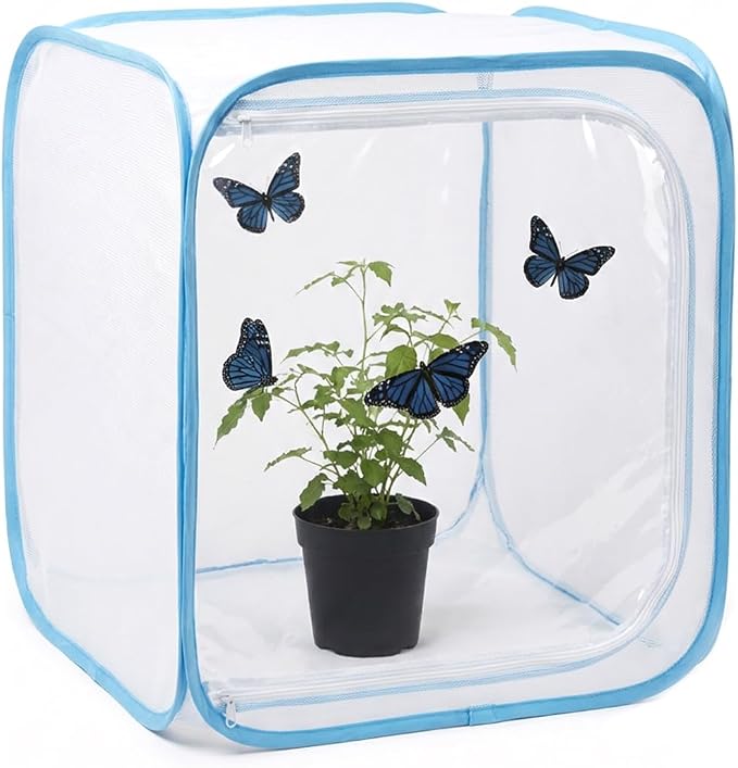 Insect & Butterfly Habitat Cage, Portable Pop-Up Terrarium - Image 7