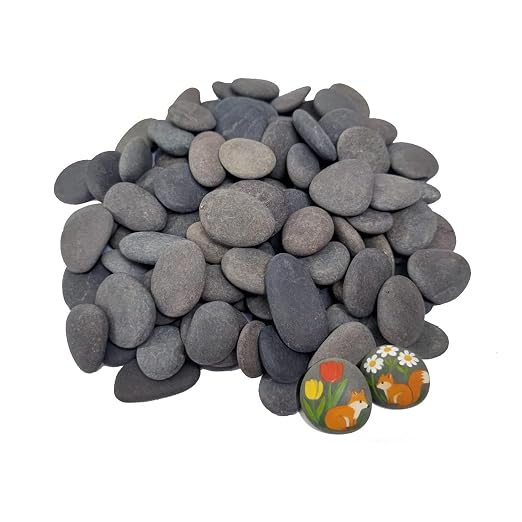 100PCS Painting Rocks by Nasrslla