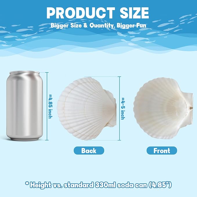 4"-5" 20 PCS Large Scallop Shells - Image 5