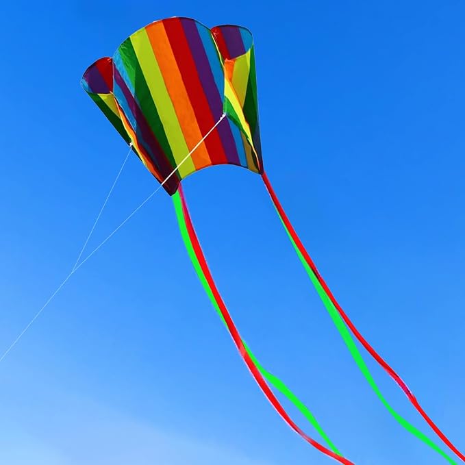 HENGDA KITE for Kids&Adults Rainbow Parafoil Kite - Image 6