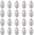 SUNNYCLUE 1 Box 20Pcs Seashell Charm Seashell Charms Bulk Natural Cowrie Shell by SUNNYCLUE