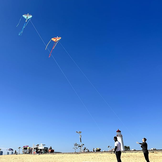 Dragon Kite for Kids & Adults - Image 7