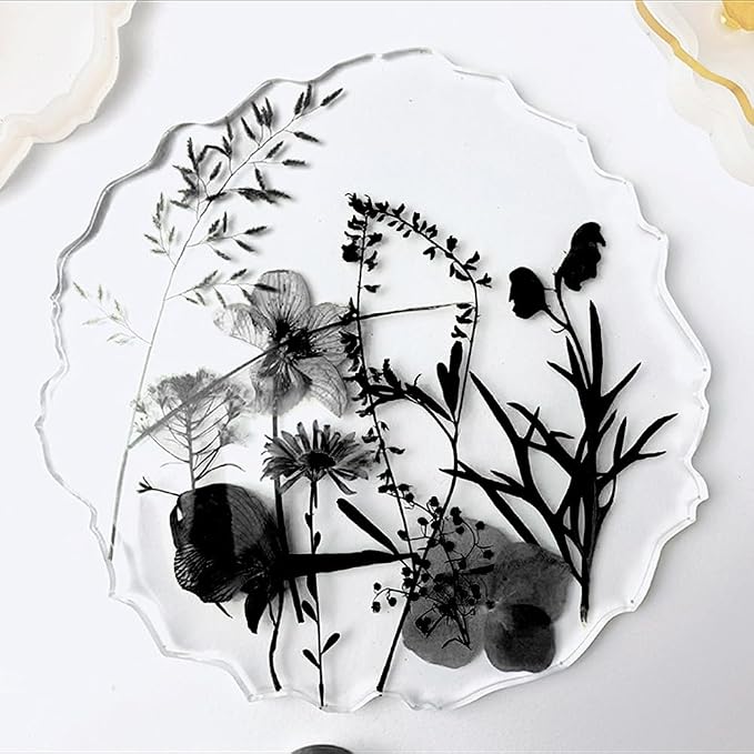 12 Types 48PCS Real Dried Pressed Flowers - Image 4