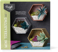 Craft Crush — Mini Plants Terrariums Easy Fun Arts and Craft Kit — Make 3 by CraftCrush