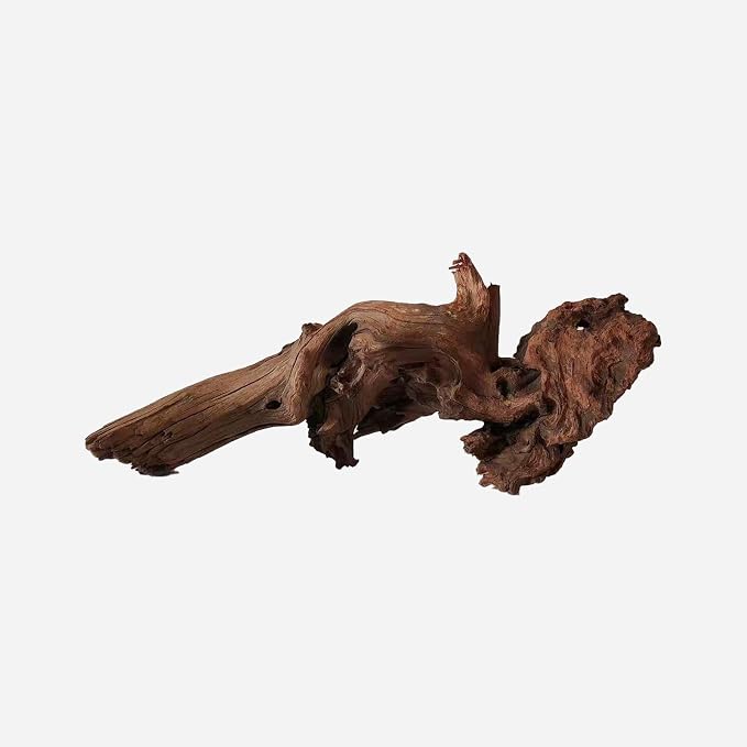 LYPHARD AQUARIUMS Natural Driftwood by LYPHARDAQUARIUMS